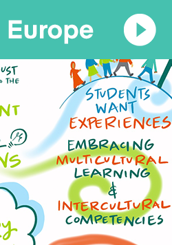 video link sketch of key concepts from aacsb europe deib regional forum