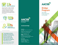 Bridge Brochure