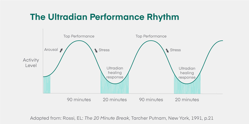 Chart with a line that goes up and down like a sine wave showing the 90-minute cycle that includes the rise from arousal up to top performance and down to a 20-minute ultradian healing response before repeating itself, attributed to page 21 of the book called The 20-Minute Break by David Nimmons and Earnest Rossi