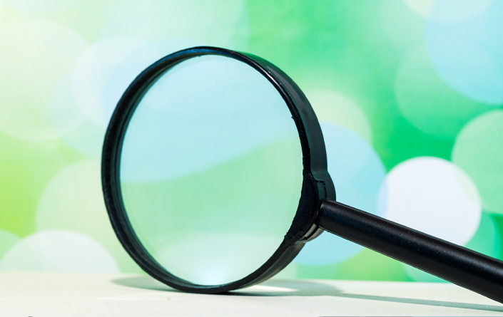 ethical lens inventory results