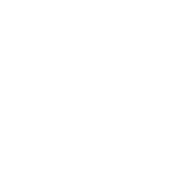 Hand Shake Icon