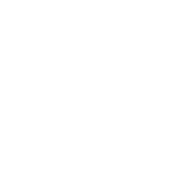 Conversation Icon