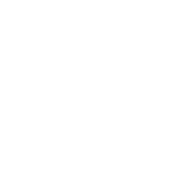 Megaphone Icon