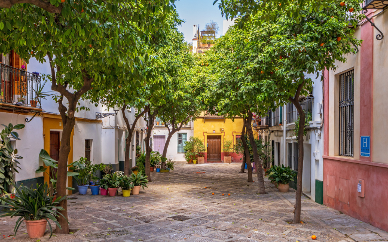 Accessible & Welcoming